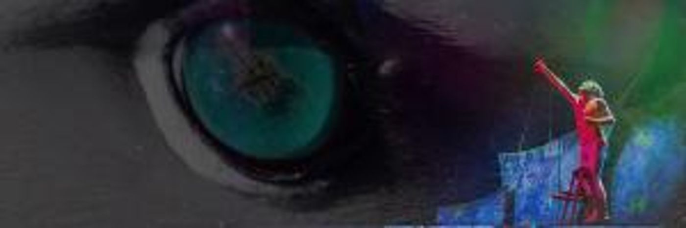 Internationally Acclaimed ALBATROSS Opens in Dublin Next Week  Image