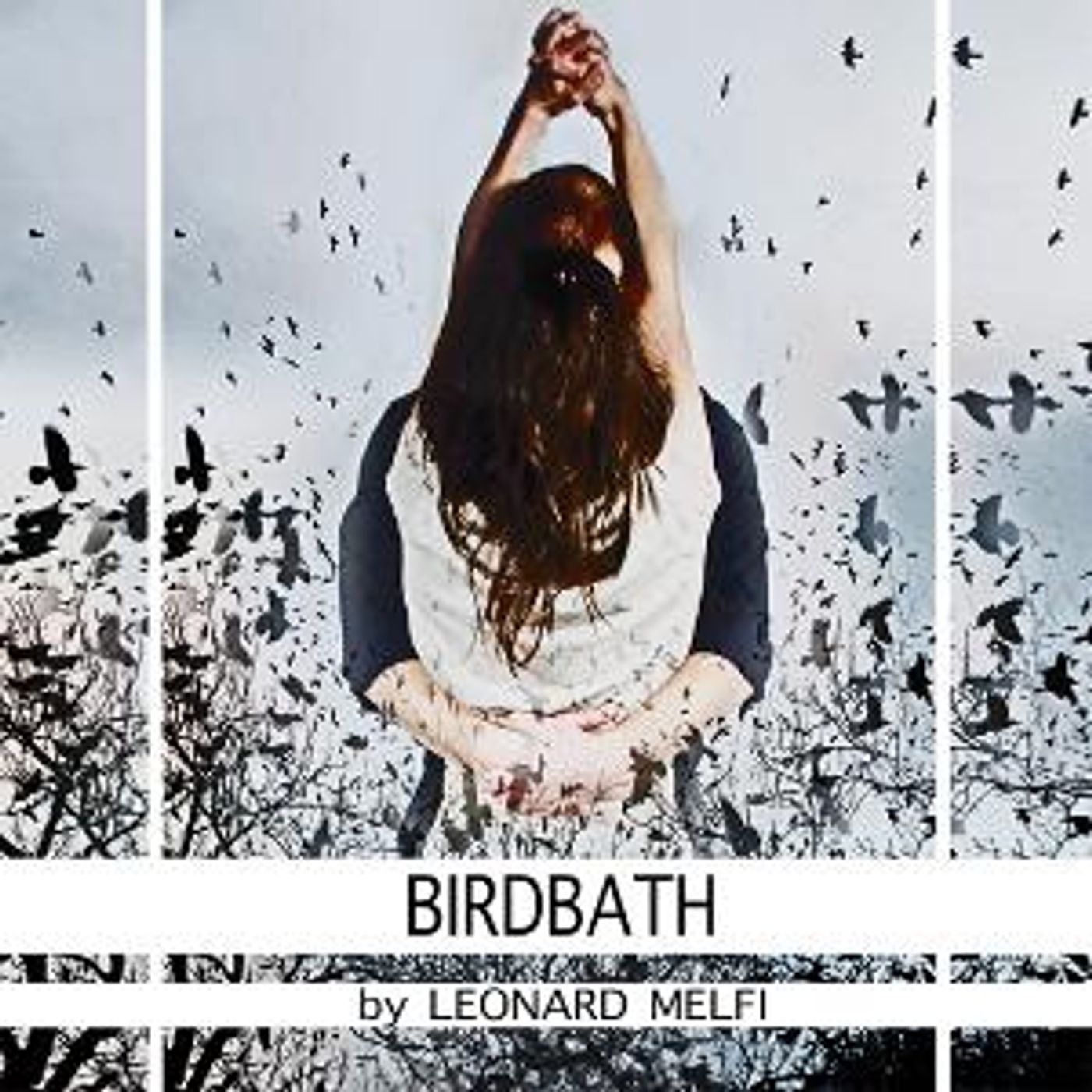 BIRDBATH to be Presented on Demand by KNOW Theatre  Image