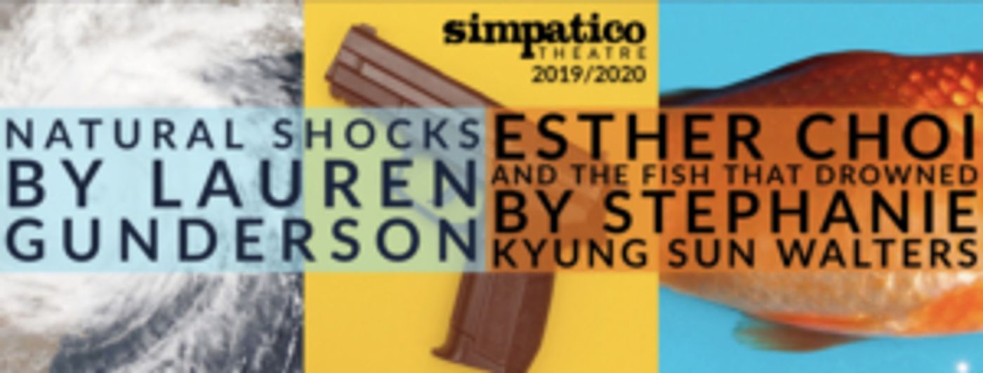 Philadelphia's Simpatico Theatre's 2019-20 Season Examines The Impact Of Gun Violence  Image