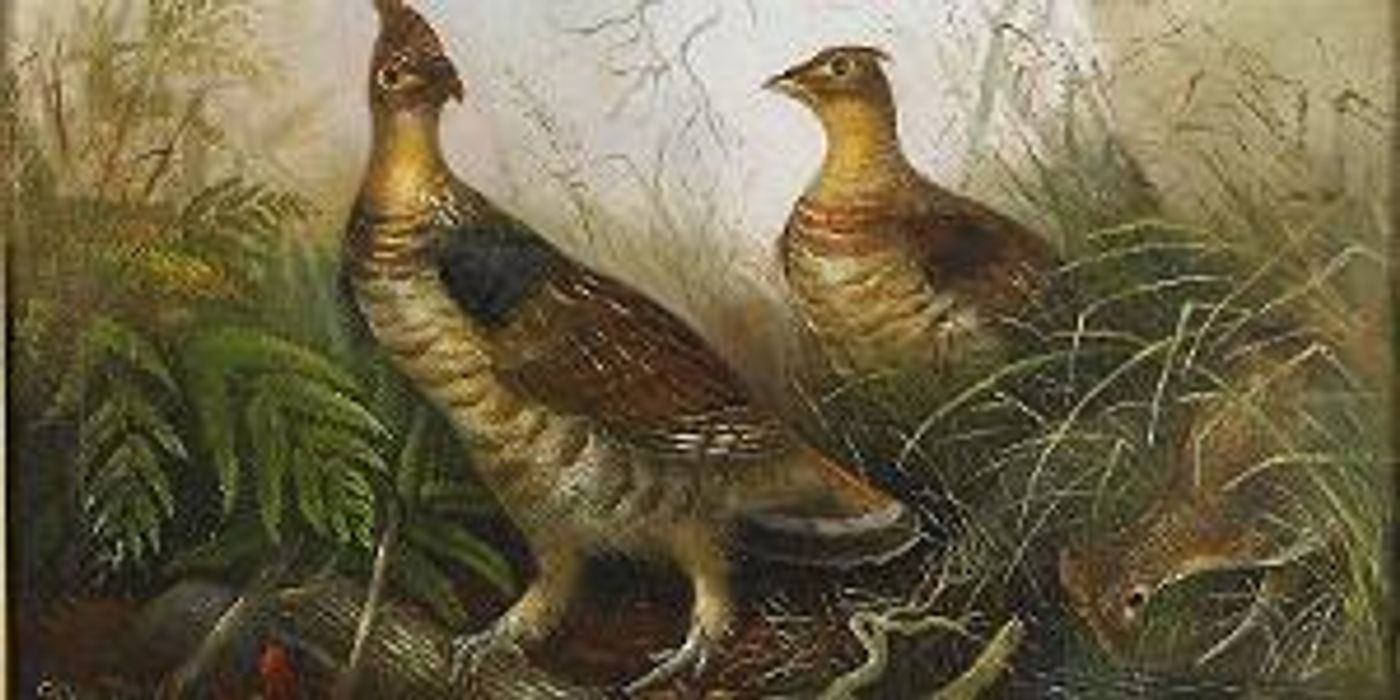 Morven Museum & Garden Presents IN NATURE'S REALM Virtual Opening Reception & Curator Walk  Image