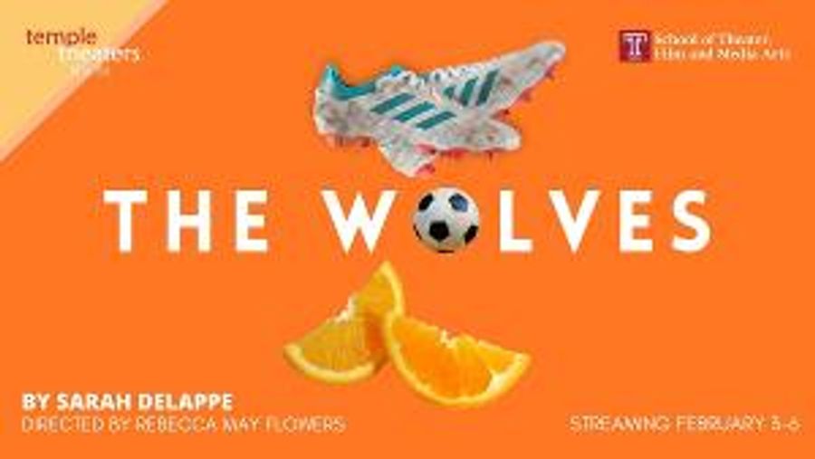 Temple Theaters Digital Season Presents THE WOLVES Image