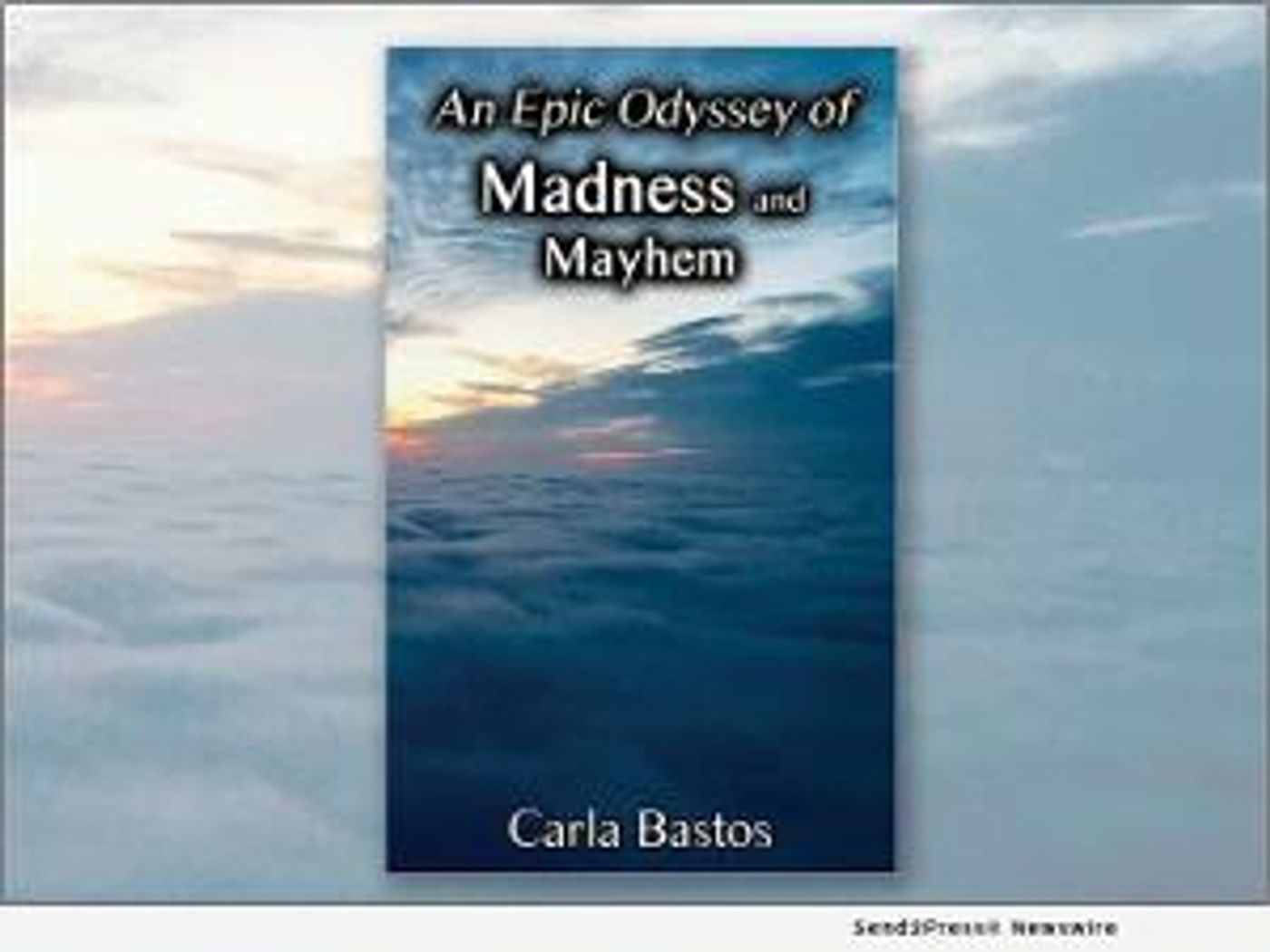 Virtualbookworm Publishing Inc. Announces AN EPIC ODYSSEY OF MADNESS AND MAYHEM  Image