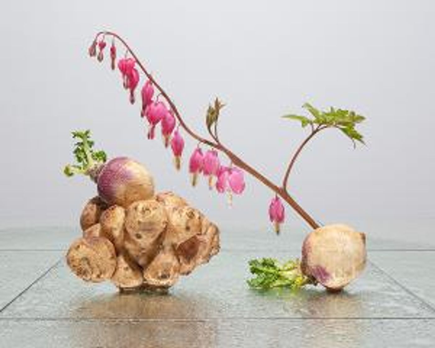 Special Special Presents Benjamin Langford's LATE SUMMER  Image