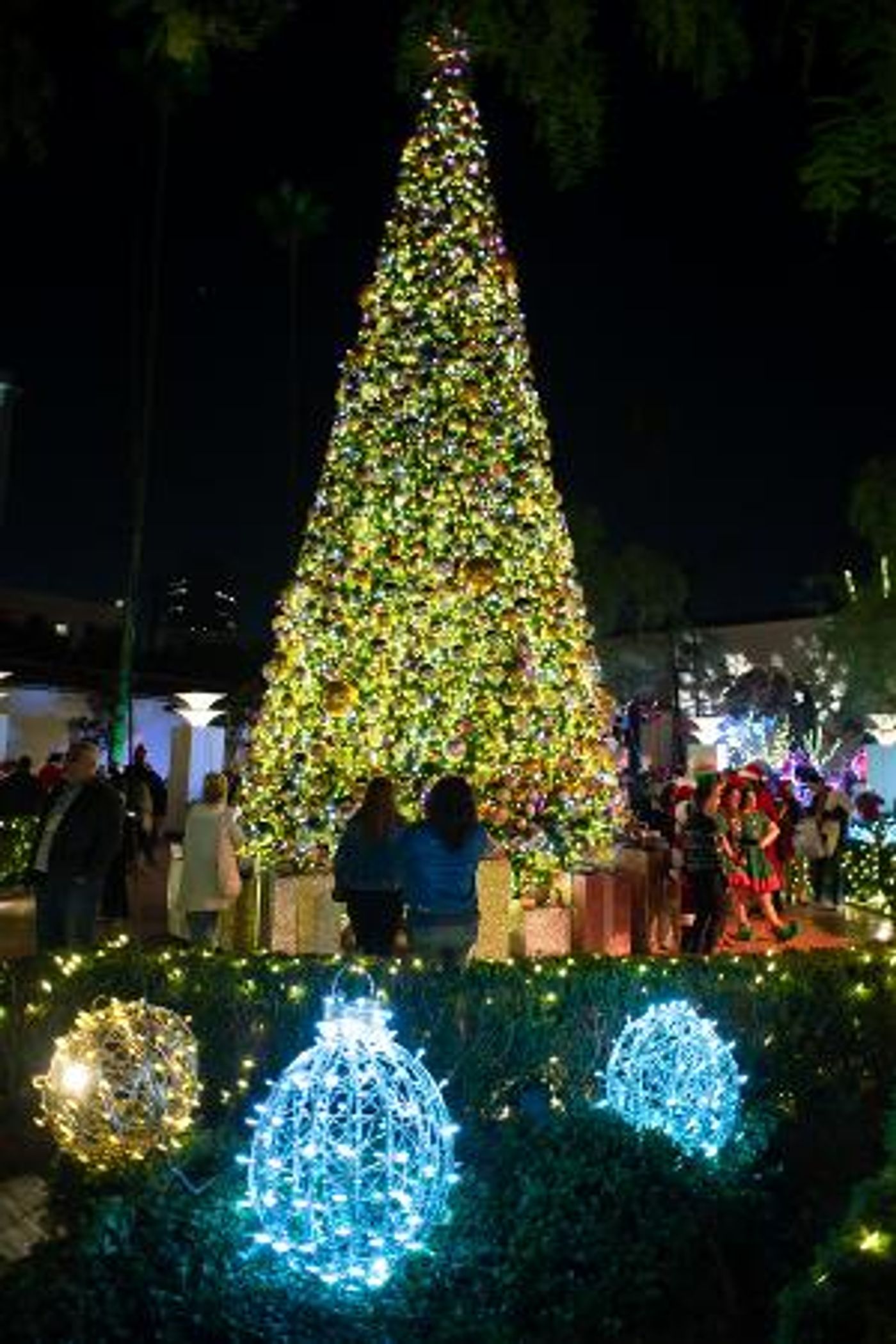LA'S Union Station to Launch Holiday Season With Live Performances, Tree Lighting & More  Image
