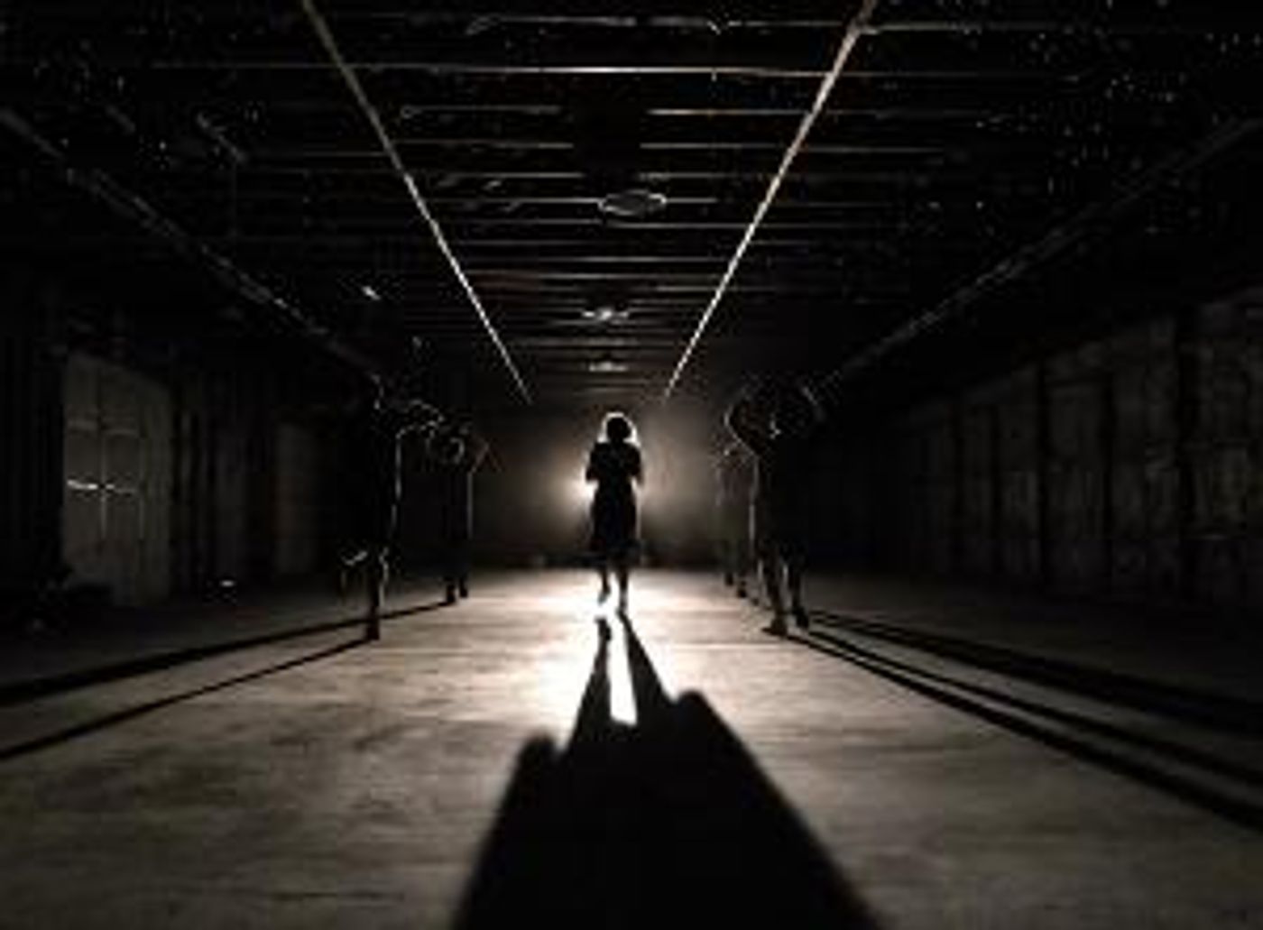 Nervous Theater Makes Their Missoula Debut With an Immersive Production of THE CAUCASIAN CHALK CIRCLE  Image