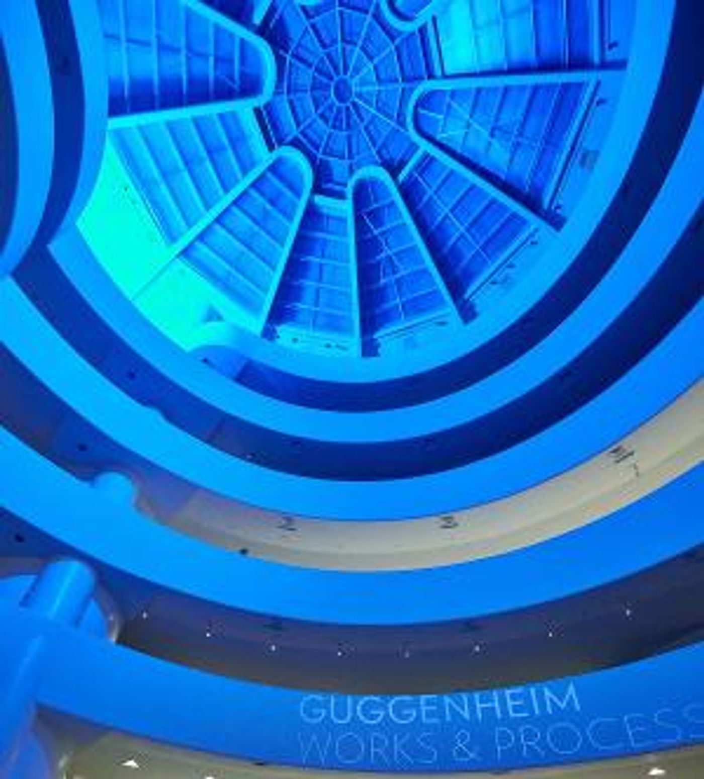 Works & Process at The Guggenheim Announces Live Performance ROSE: YOU ARE WHO YOU EAT  Image