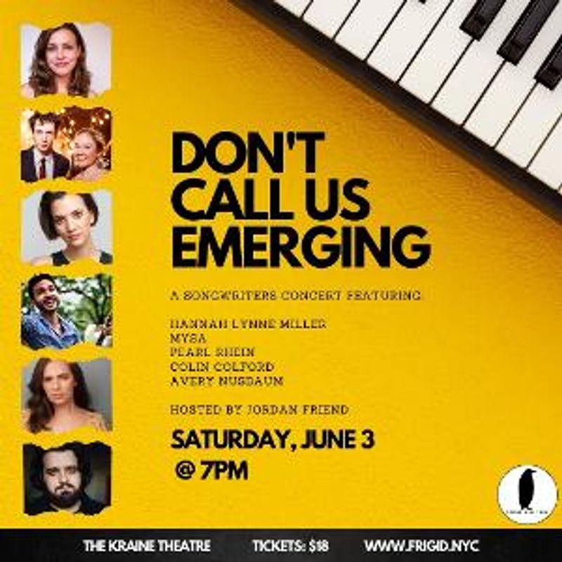 DON'T CALL US EMERGING: A SONGWRITERS CONCERT to Take Place at The Kraine Theatre Image