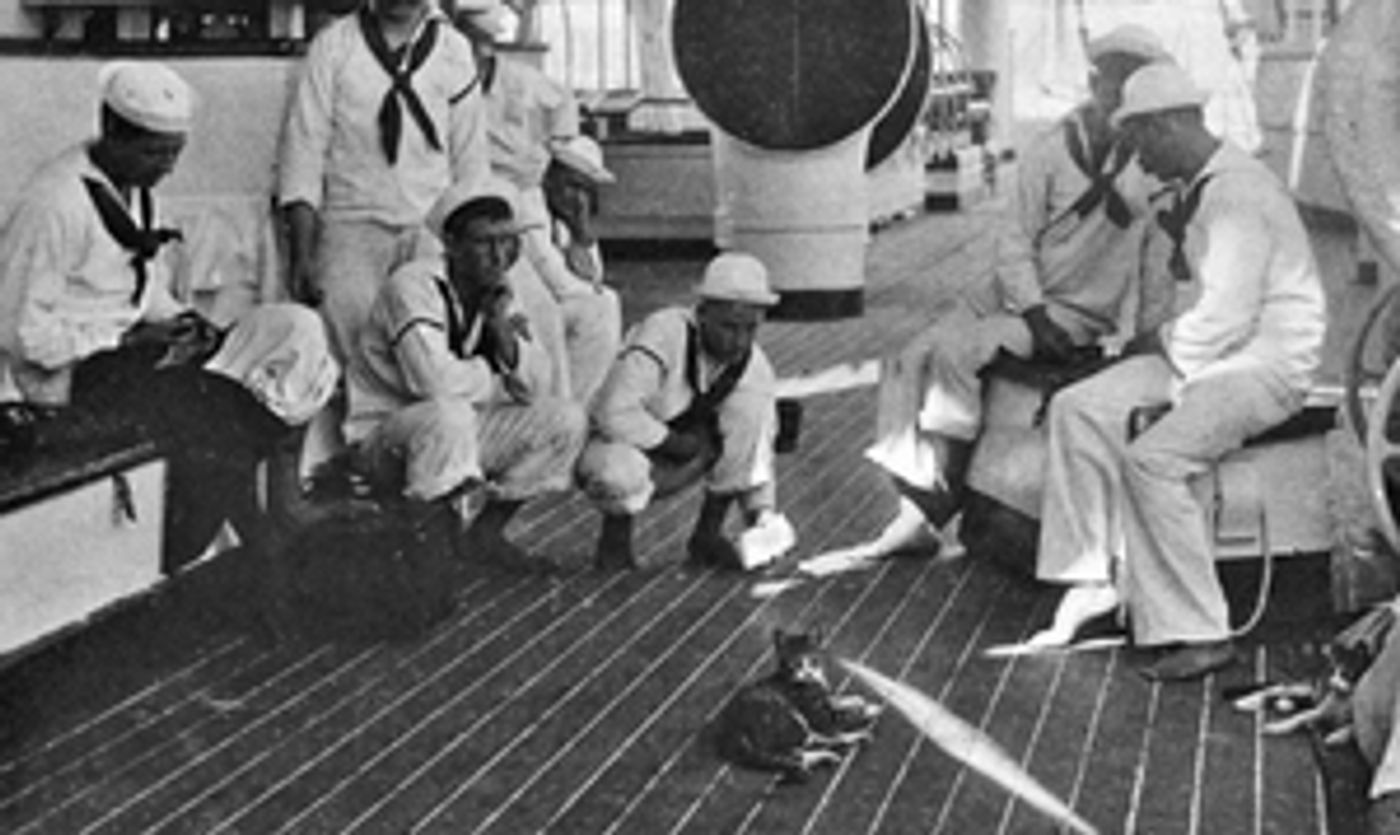 South Street Seaport Museum Hosts Author Peggy Gavan in Discussion of Seafaring Cats  Image