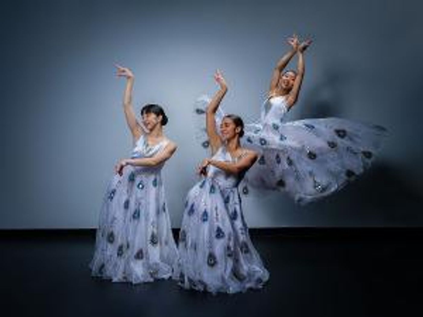 Marietta College to Present Nai-Ni Chen Dance Company as Part of The Ebenshade Series  Image