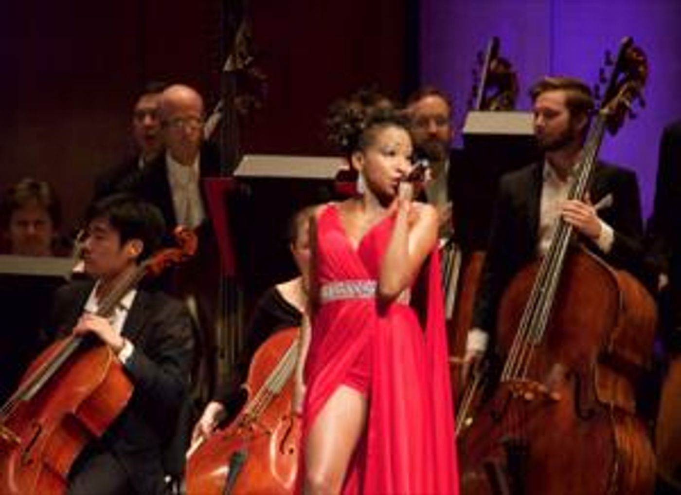 Broadway & Opera Star N'Kenge Headlines With Houston Symphony For A VERY MERRY POPS Concerts  Image
