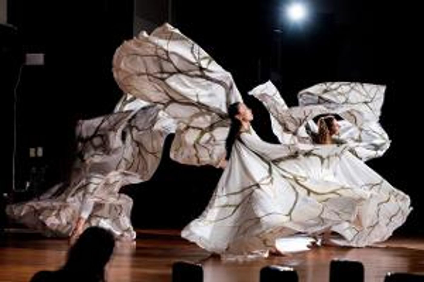 The New York Society For Ethical Culture and Time Lapse Dance Host World Premiere Of ARBOR And Other Works  Image