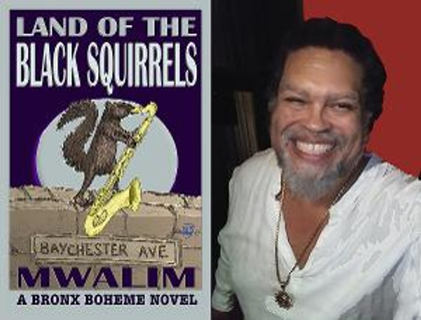 The Novel 'Land of the Black Squirrels' Marks The Return Of The Jazz Poet To African American Literature  Image