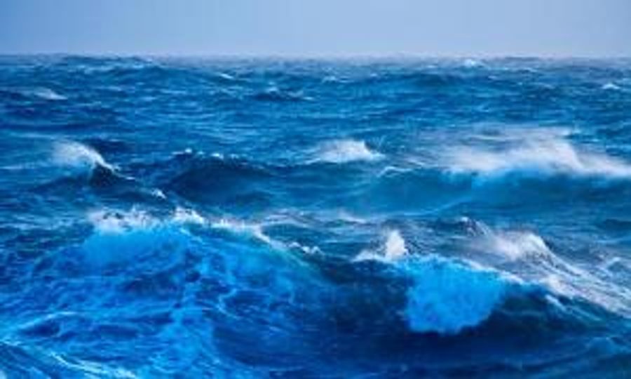 Meira Warshauer's 'Ocean Calling Trilogy' To Be Featured In February And March Lectures And Performances Image