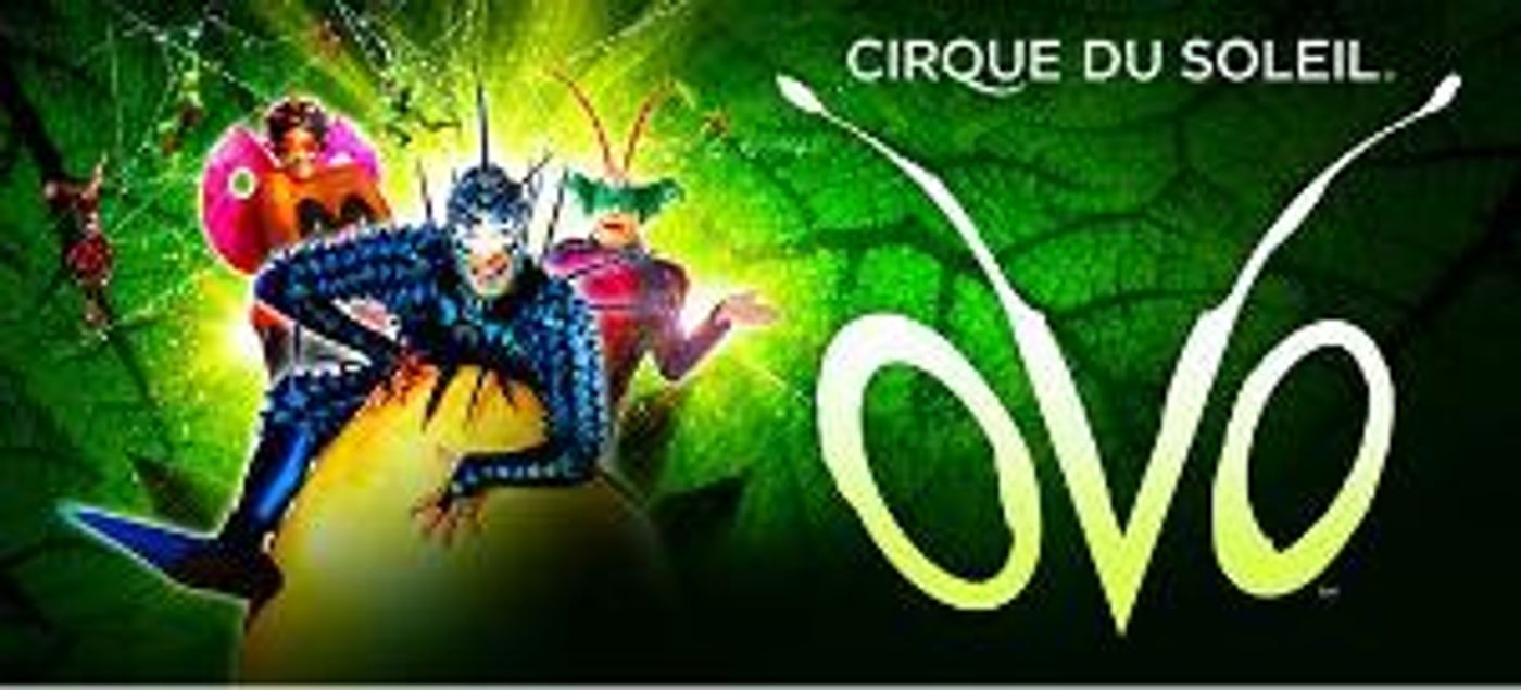 OVO From Cirque Du Soleil Announced At Thompson-Boling Arena For 7 Performances Only  Image