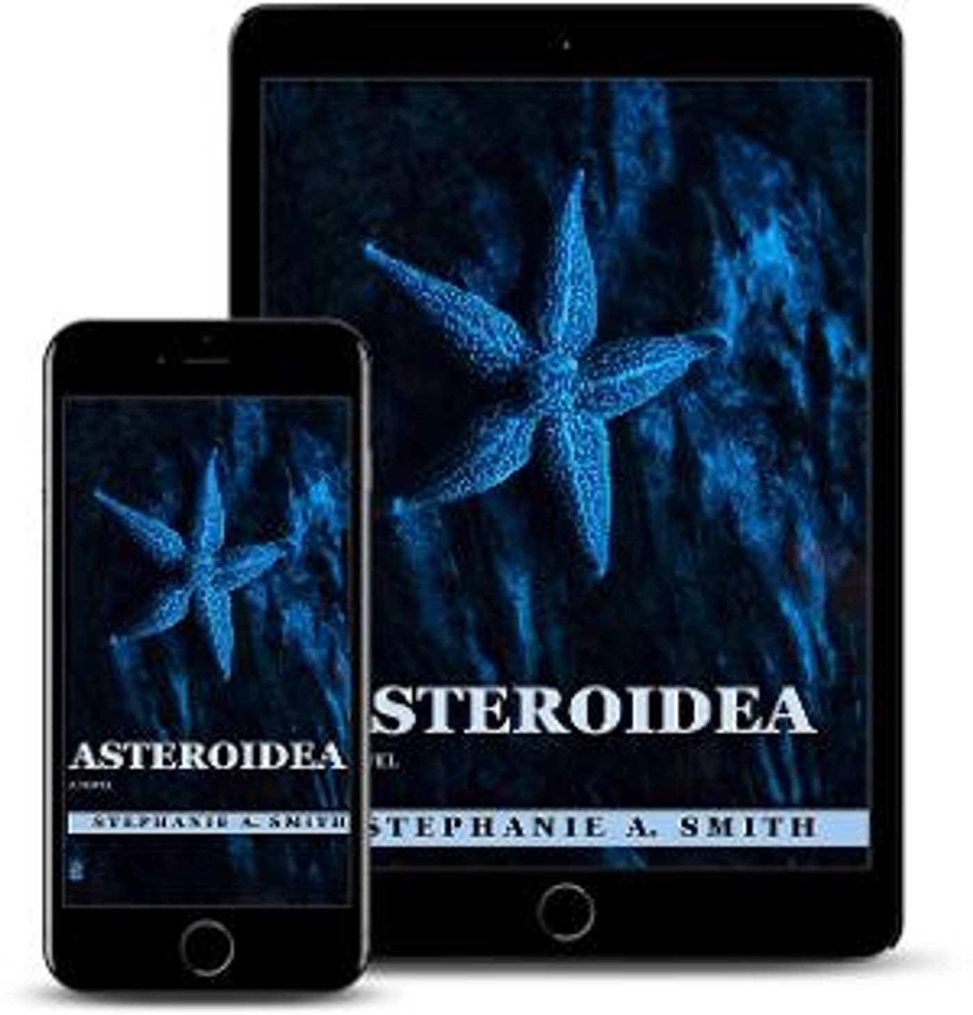 Stephanie A. Smith Releases New Literary Novel ASTEROIDEA  Image
