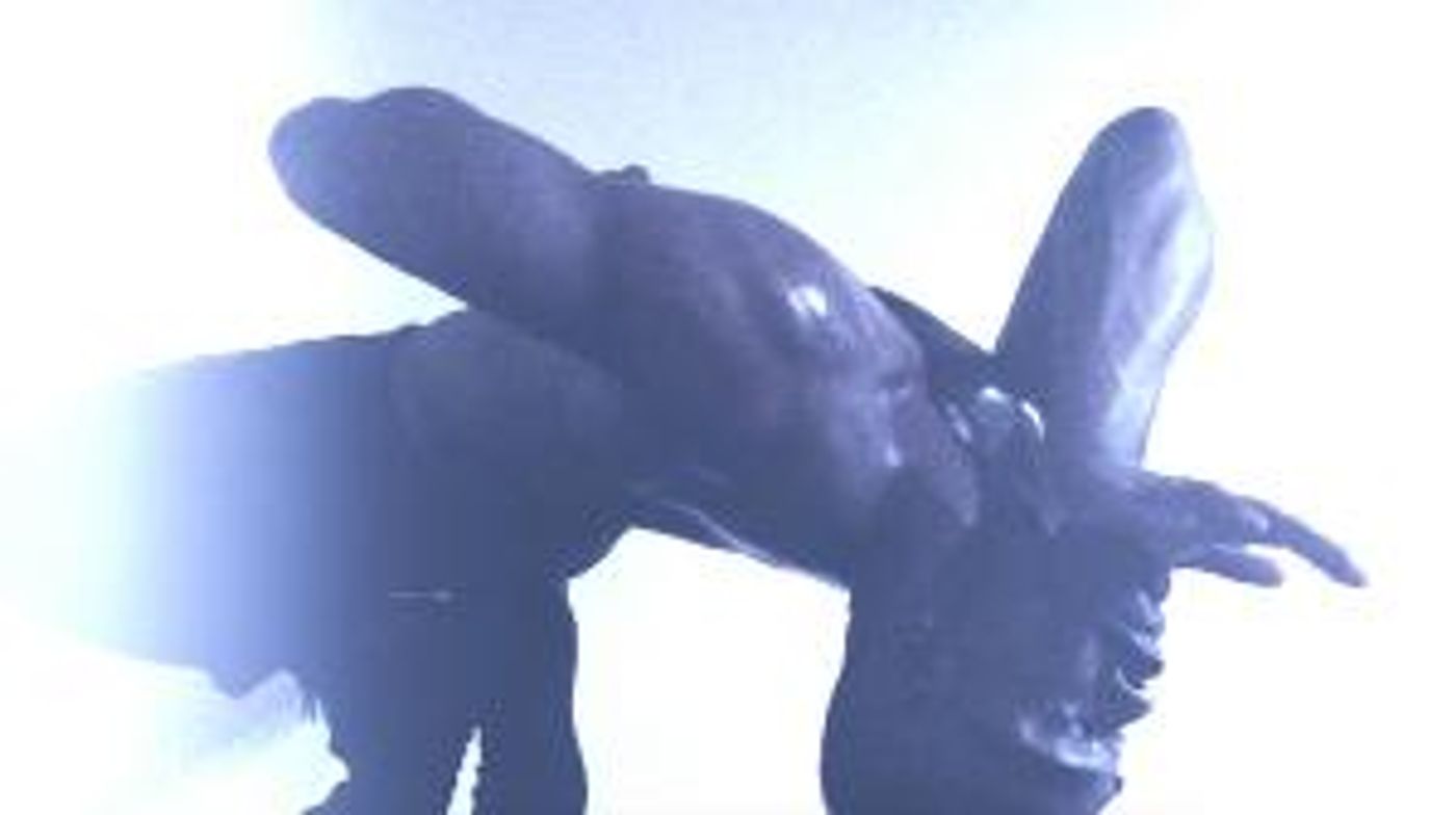 Works & Process At The Guggenheim Announces WPA Virtual Commissions August Premieres  Image