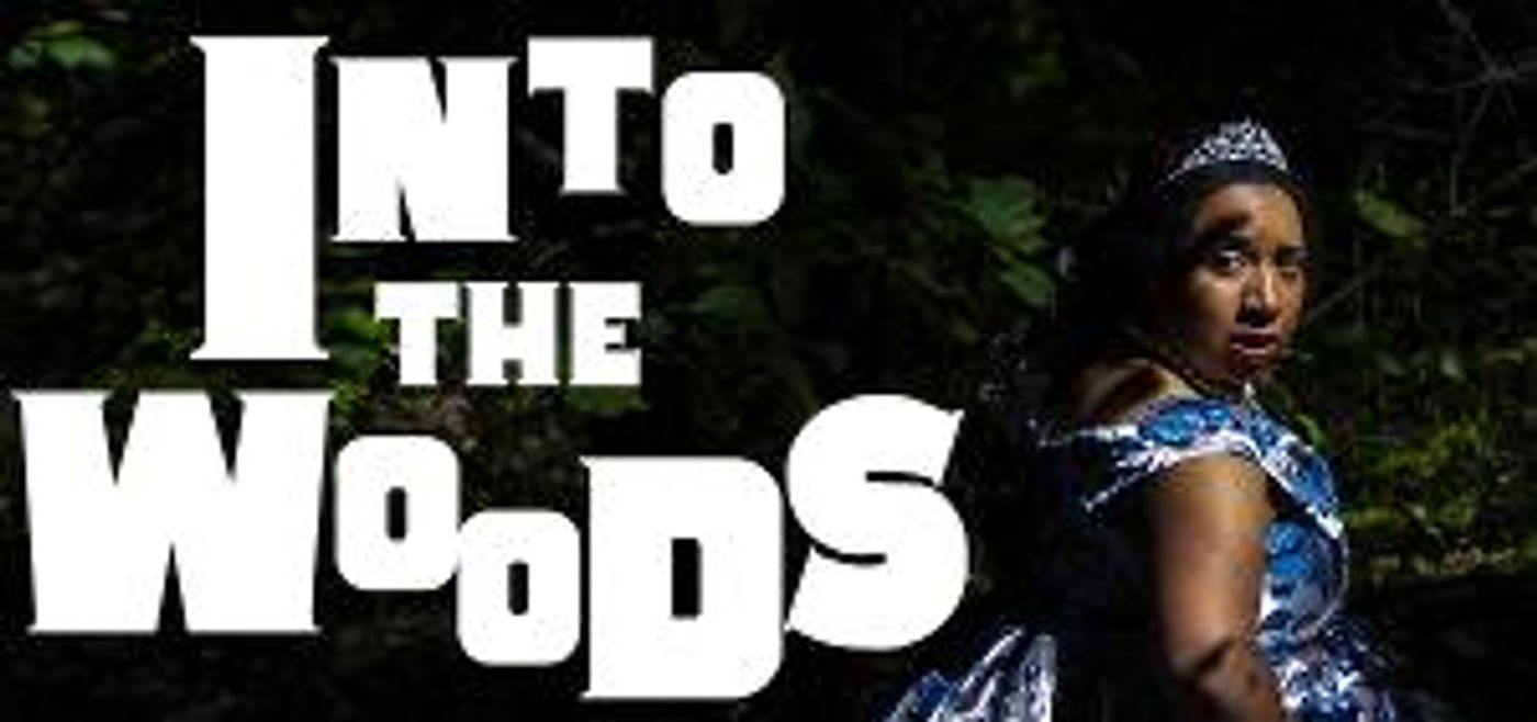 Passion Projects Theatre Company Presents INTO THE WOODS  Image