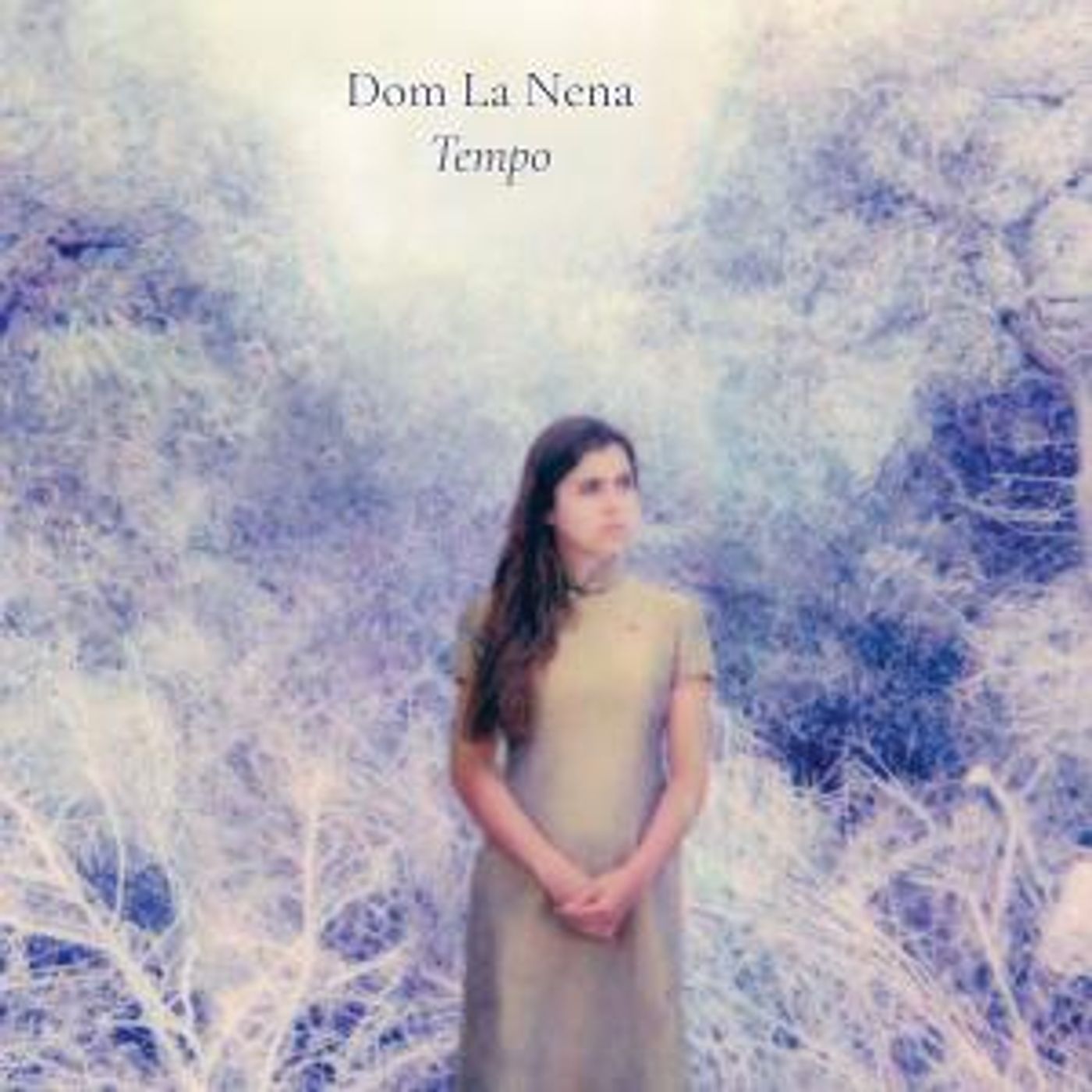 Dom La Nena Releases New Album 'Tempo'  Image