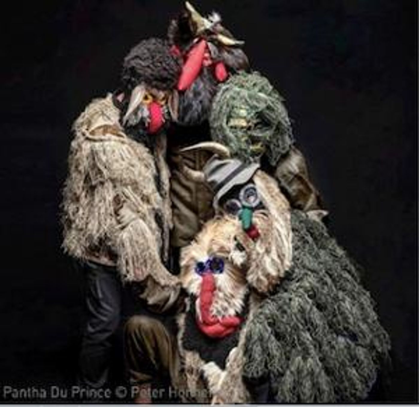 Pantha Du Prince Announces New Album CONFERENCE OF TREES  Image