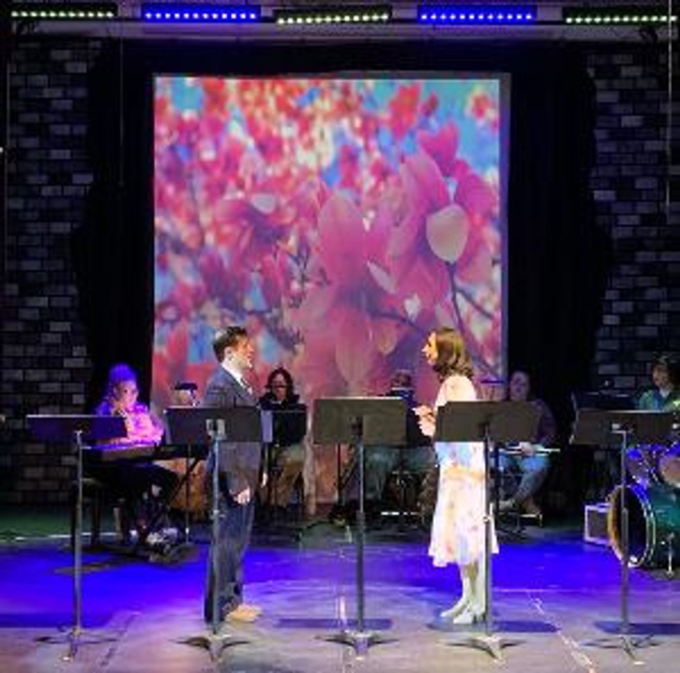 Sammy Jungwirth's ZELDA Musical To Be Presented At 54 Below  Image