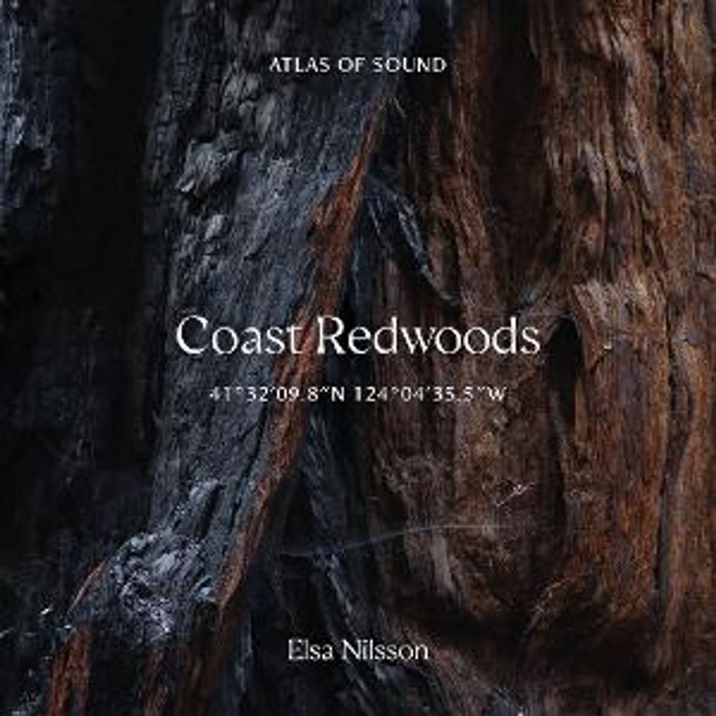 Elsa Nilsson Releases New Album COAST REDWOODS 41°32'09.8”N 124°04'35.5”W  Image