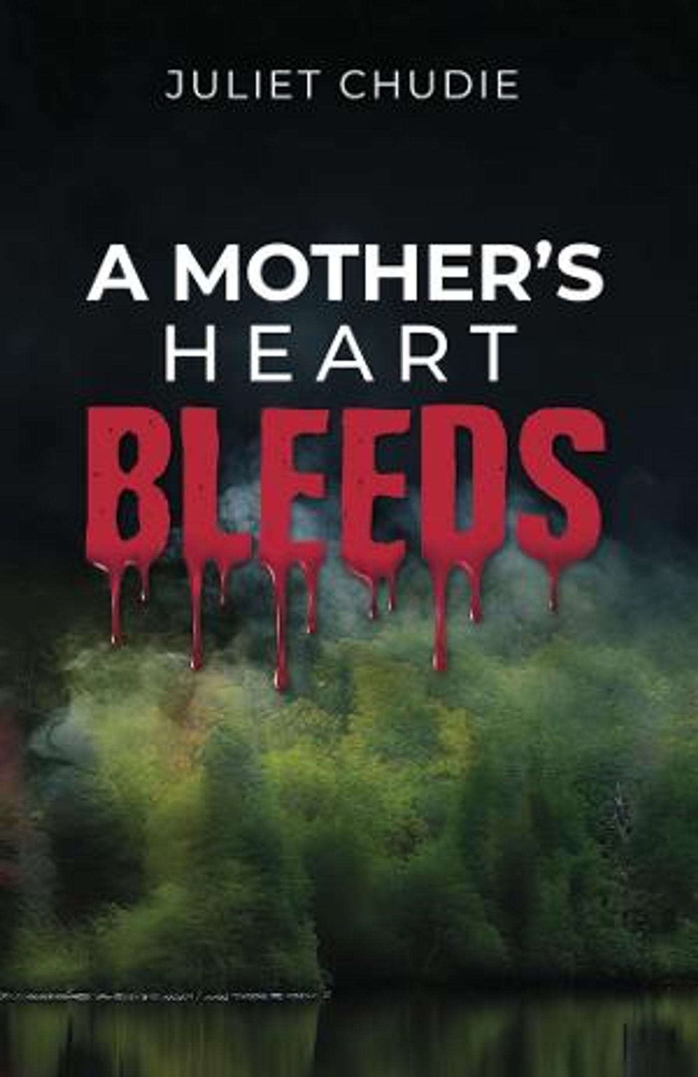 Juliet Chudie Releases New Novel A MOTHER'S HEART BLEEDS  Image