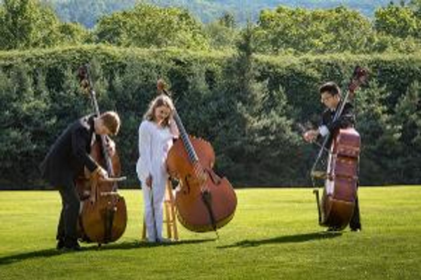 Boston University Tanglewood Institute Announces New Program Offerings And Repertoire  Image