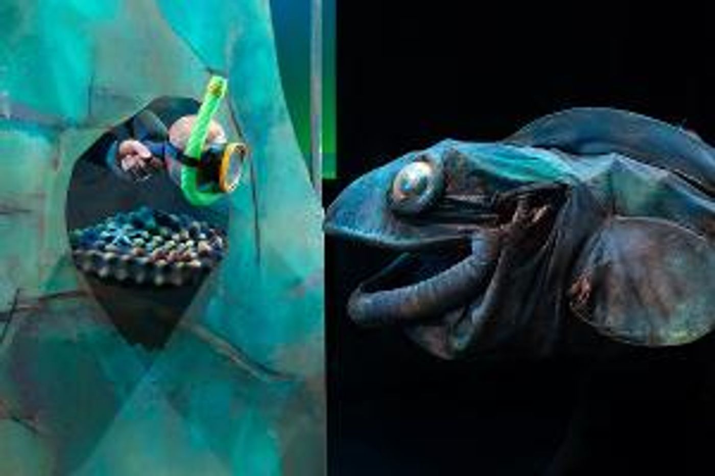 BLUEBACK Comes to Claremont Showground Next Month  Image