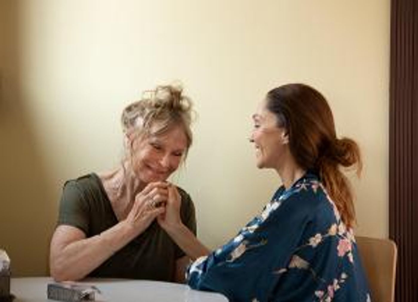 Wise Owl Theatre Collective to Present Canadian Premiere Of THE WINDOW OUTSIDE By Belinda Lopez  Image