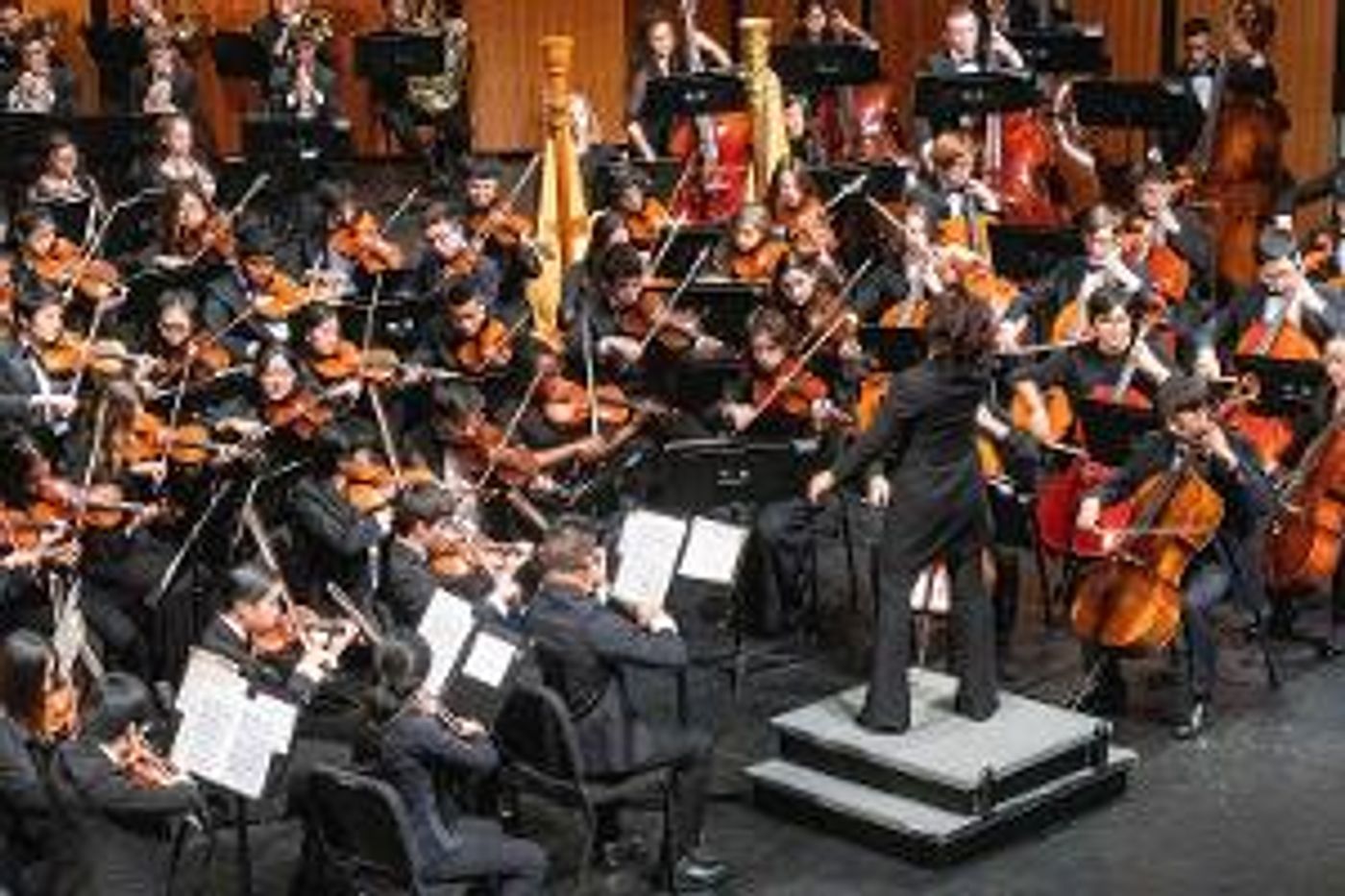 New Jersey Youth Symphony Announces Video Auditions  Image