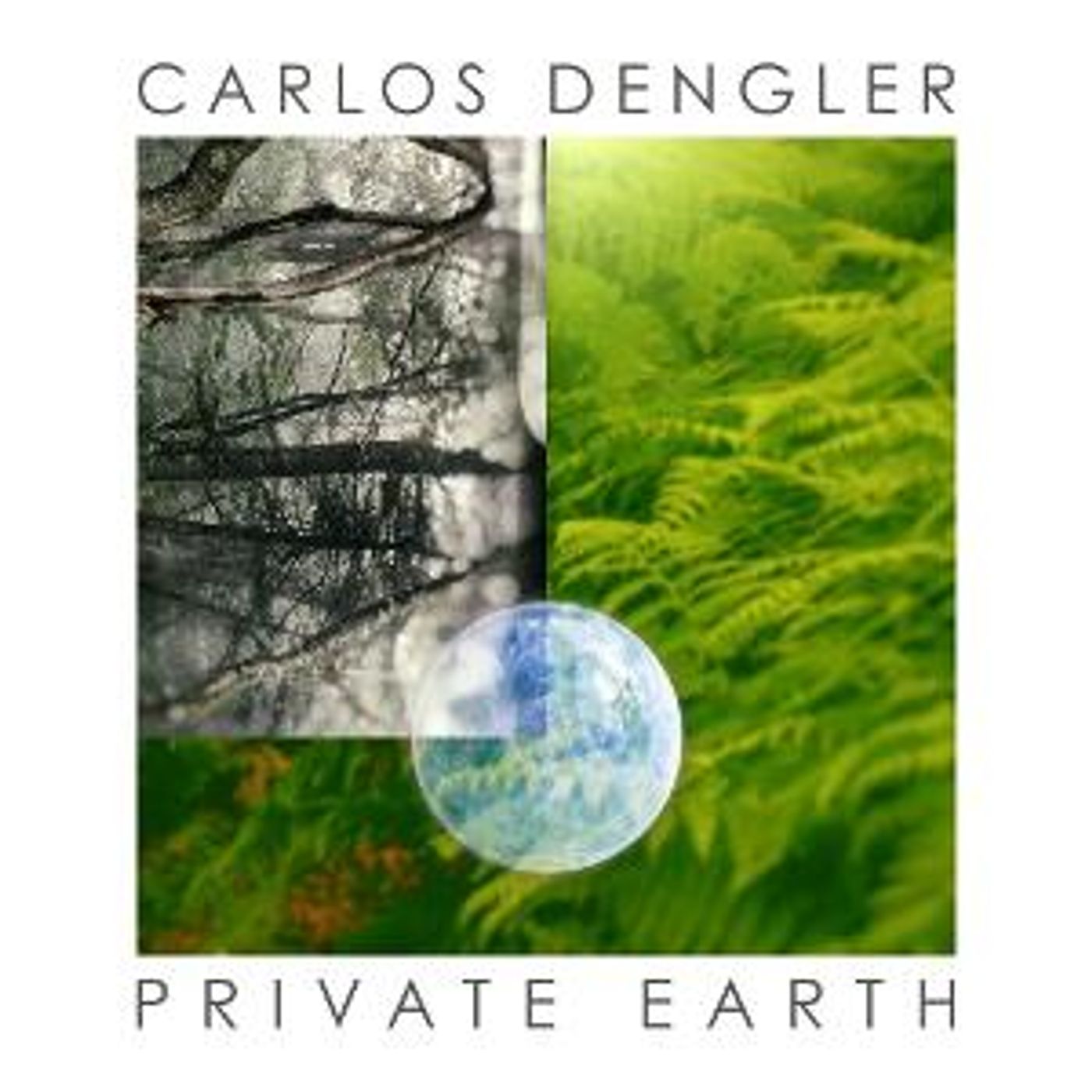 PRIVATE EARTH An Eclectic, Worldly, And Ethereal New Age Album From Carlos Dengler Out Now  Image