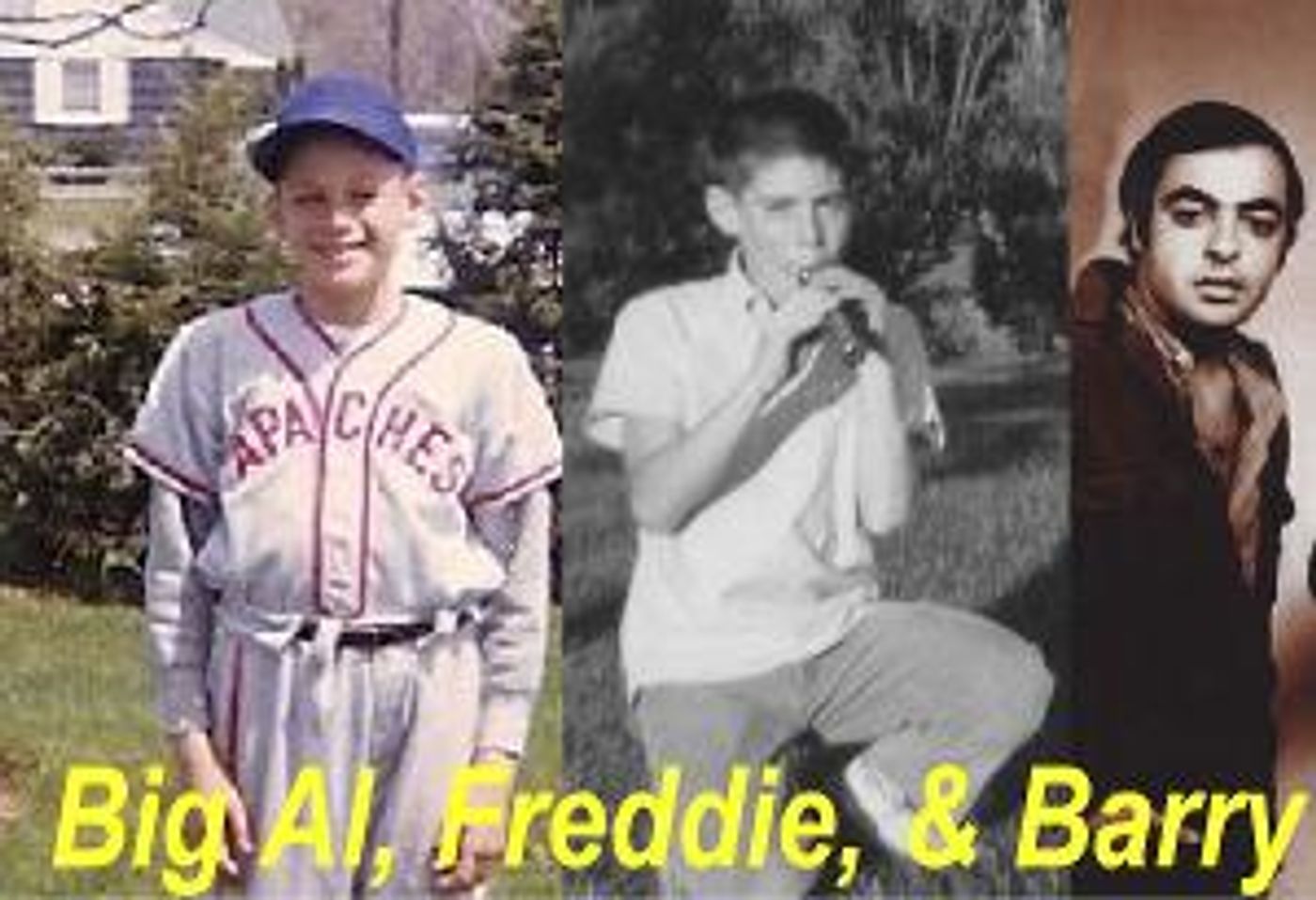 The Theatre Guild of Laguna Woods Village Will Present a Staged Reading Of a New Play With Music  Image