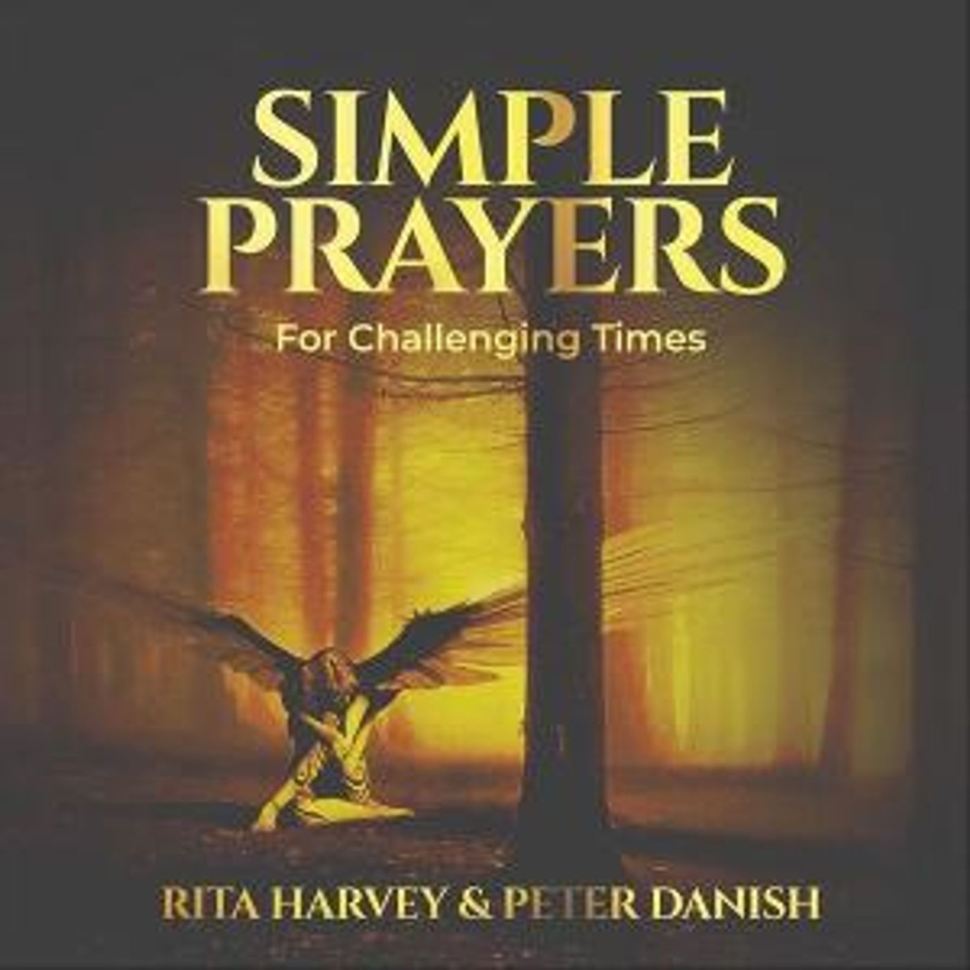 Rita Harvey and Peter Danish Team Up For A New CD Of 'Simple Prayers: For Challenging Times'  Image