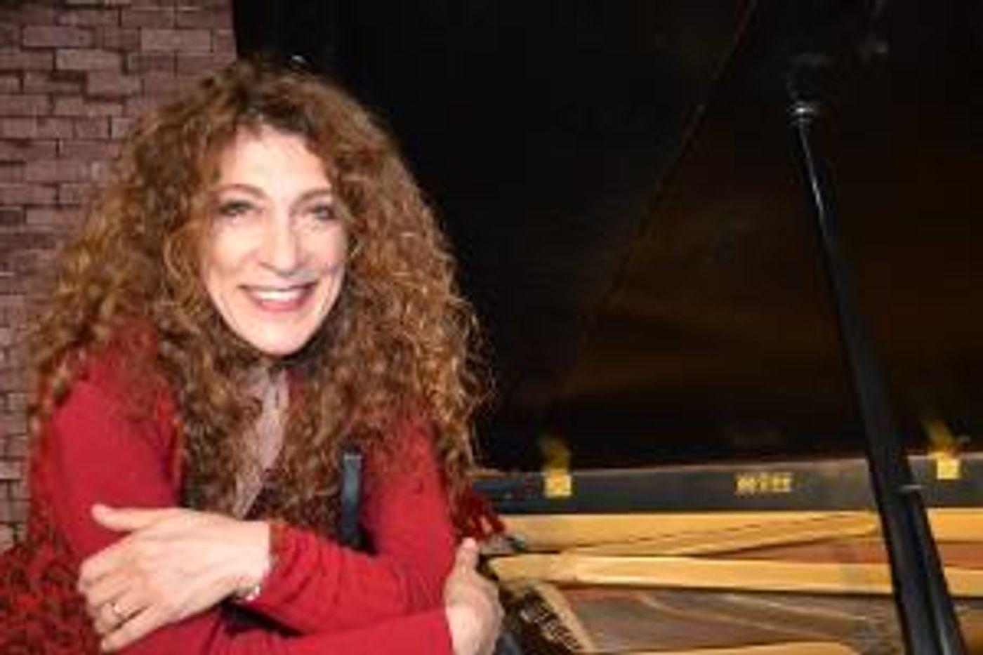 Pianist Rosa Antonelli to Appear In Concert May 25 At Manhattan's Klavierhaus, Presented By Harvardwood  Image
