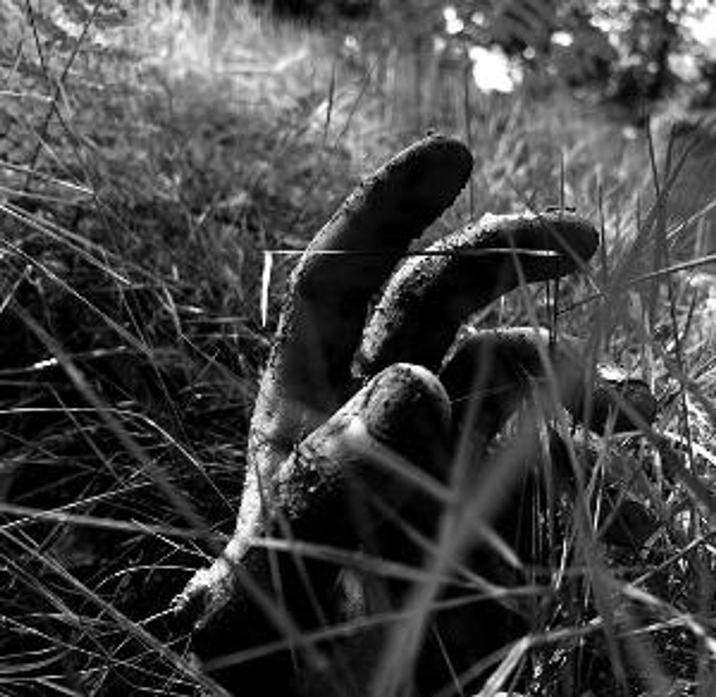 Outdoor Immersive Theatre Comes to Kent With ROTTEN STATES  Image