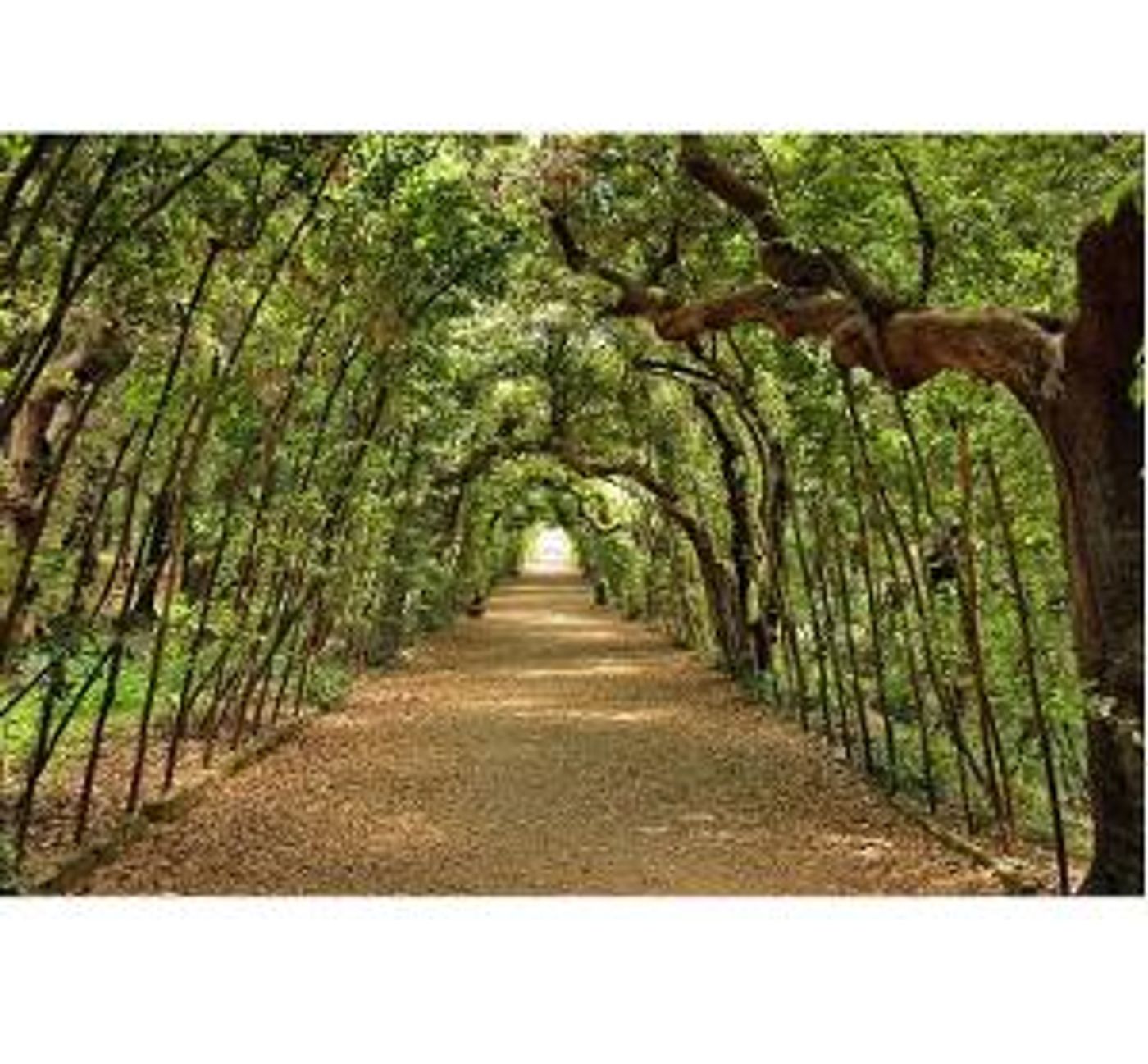 New York City Opera And National Yiddish Theatre Folksbiene Will Participate In Holocaust Remembrance Day 2022 Events  Image