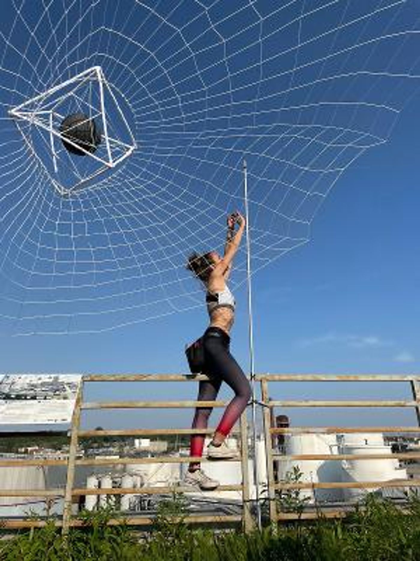 NOoSPHERE Arts to Present WE ARE NATURE 2022: Patterns Of Connection This Month  Image