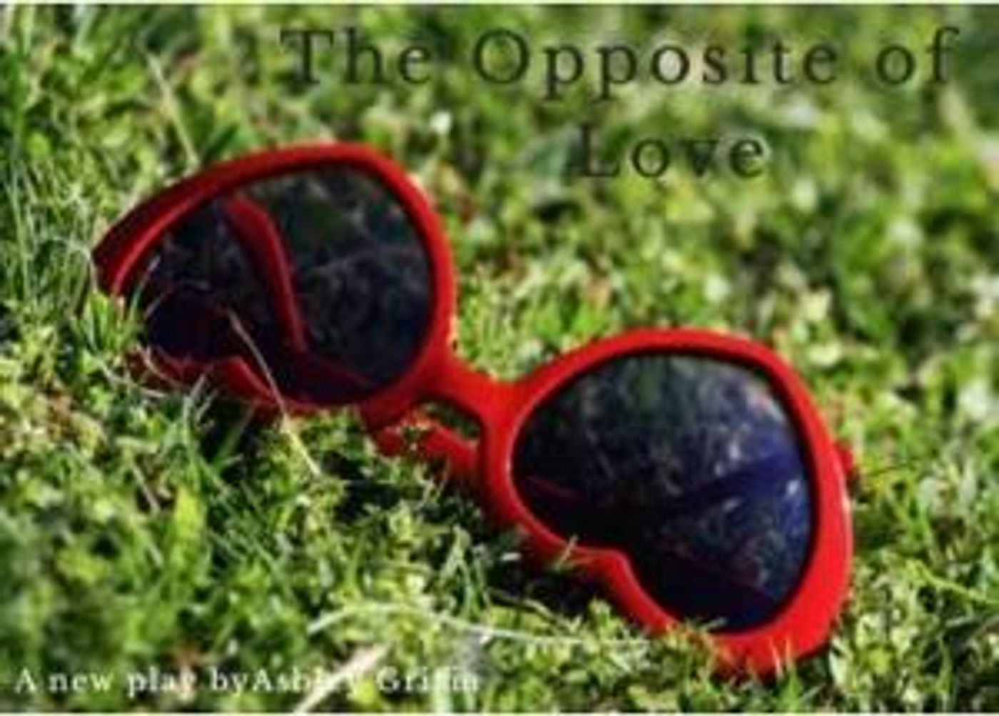 THE OPPOSITE OF LOVE Will Have NYC Workshop and Private Reading  Image