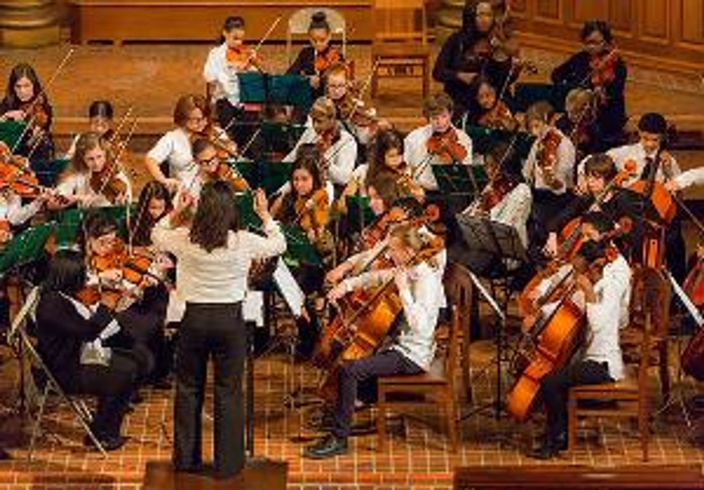 Musicopia String Orchestra Announces Winter Concert  Image