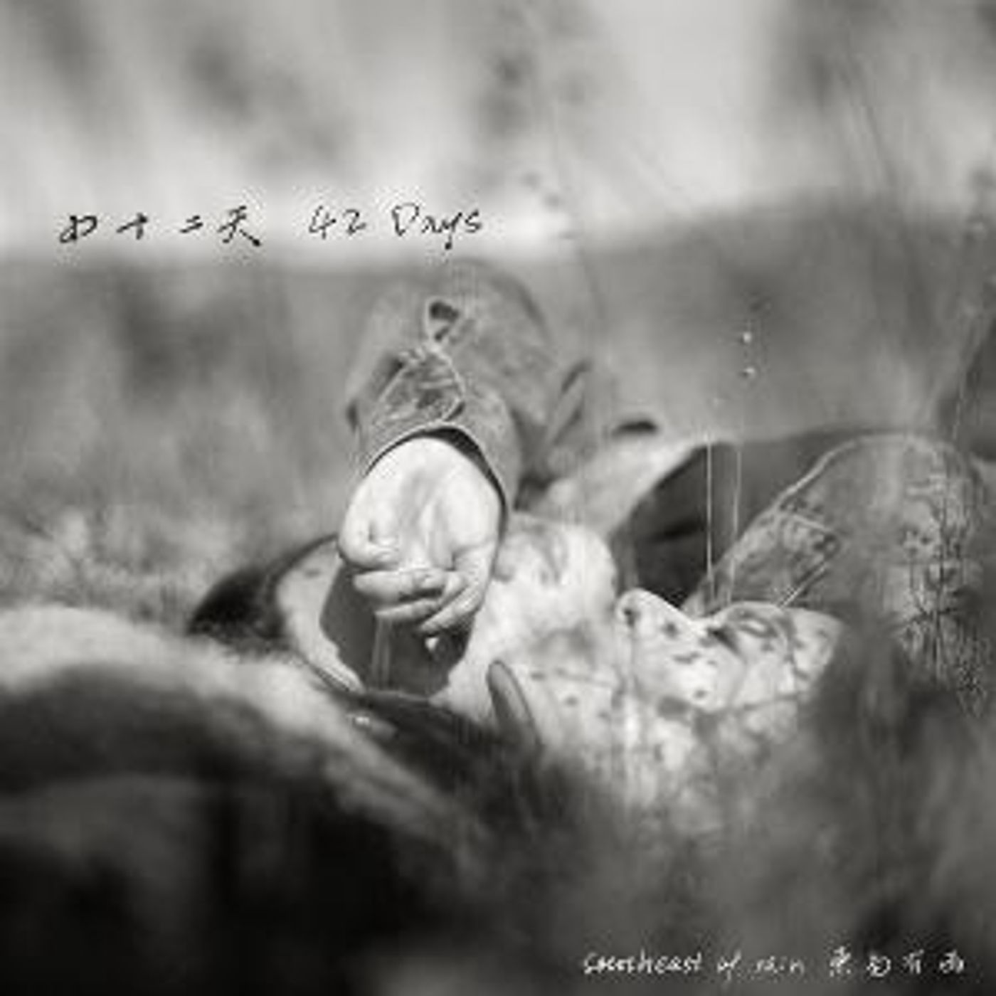 Southeast Of Rain Releases Debut Album '42 Days'  Image