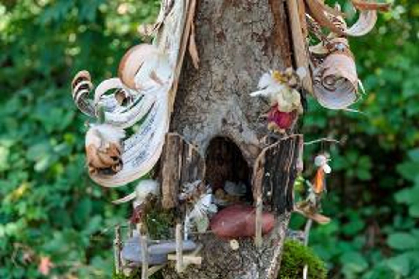 Artpark & Company Announces Eleventh Annual Fairy House Festival  Image