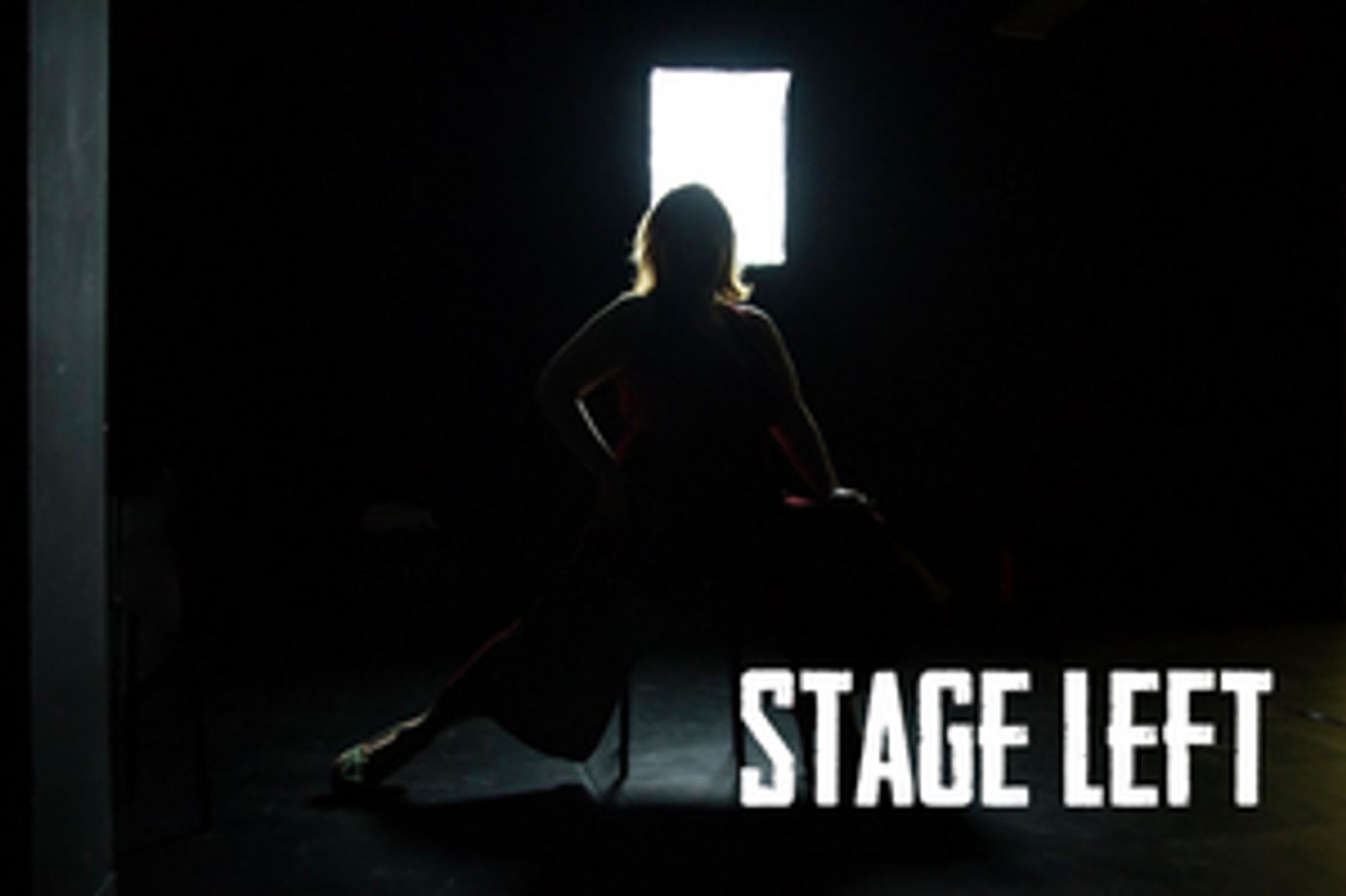 STAGE LEFT, A Documentary Web Series That Explores Theatre And Community, Will Debut In 2020  Image