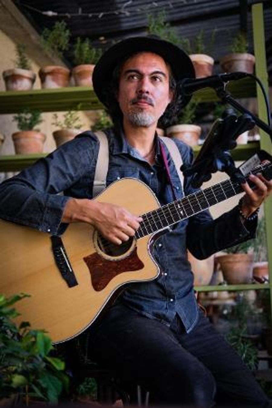 Levitt Pavilion Los Angeles & Sunset Eclectico Present GUATETEAMA  Image