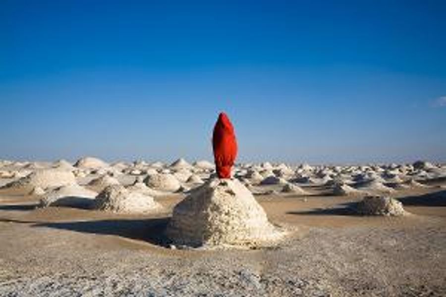 The LA Art Show to Return This Winter With a Focus on the Global Climate Crisis Image