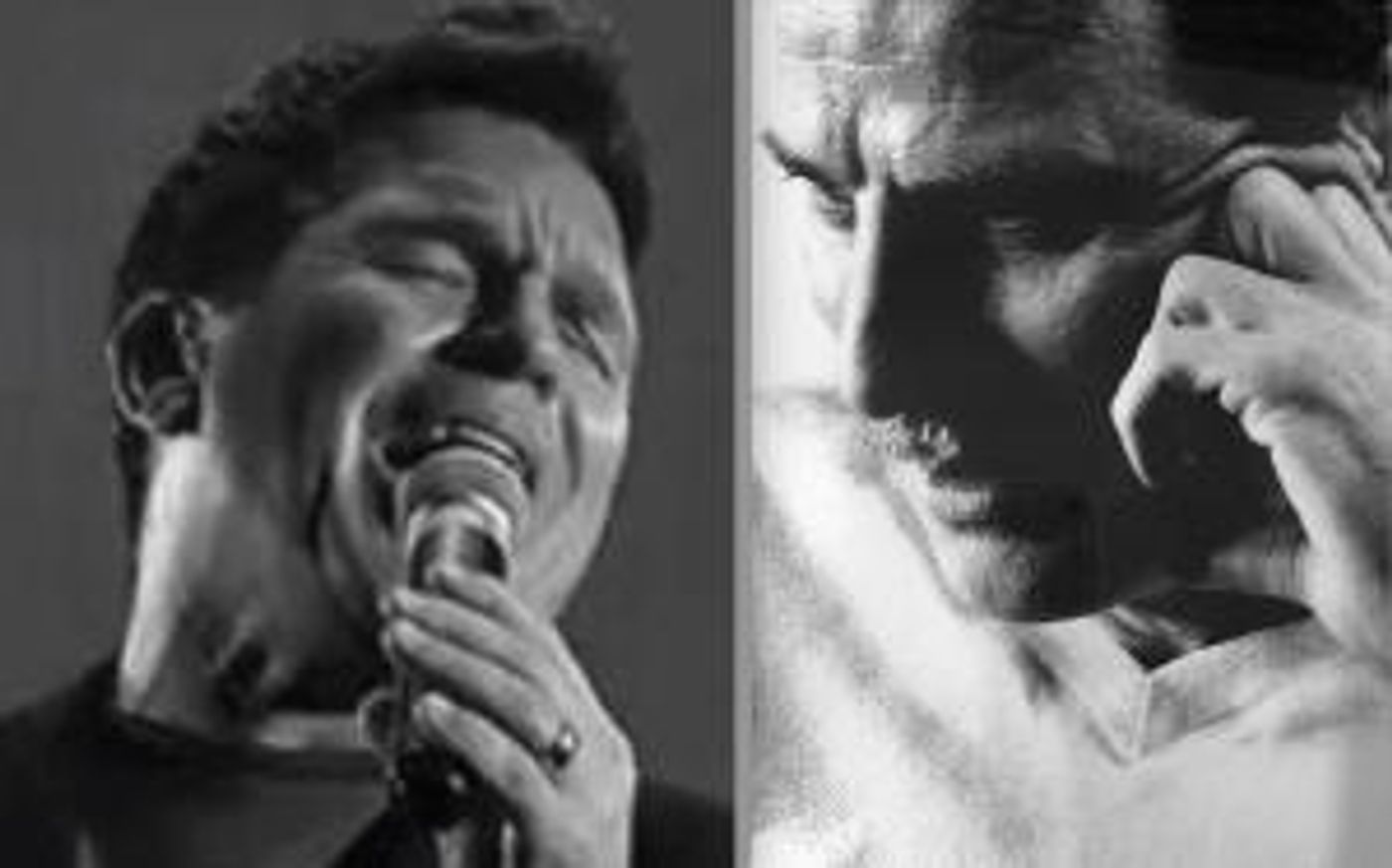 Dane Vannatter's Concert Features A New Song From LOCKED AND LOADED, AN AMERICAN MUSICAL  Image