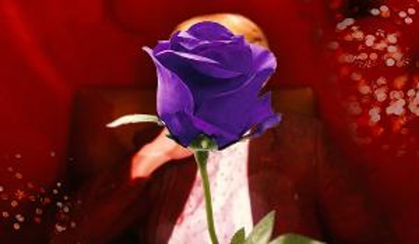 Theater Lovers Can Ring In The New Year In Any Time Zone With A Free 25-Hour Online Musical Showcase  Image