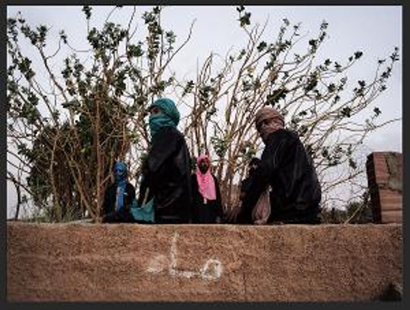 Imarhan Tuareg Desert Rock Will Perform At Levitt Pavilion Los Angeles  Image