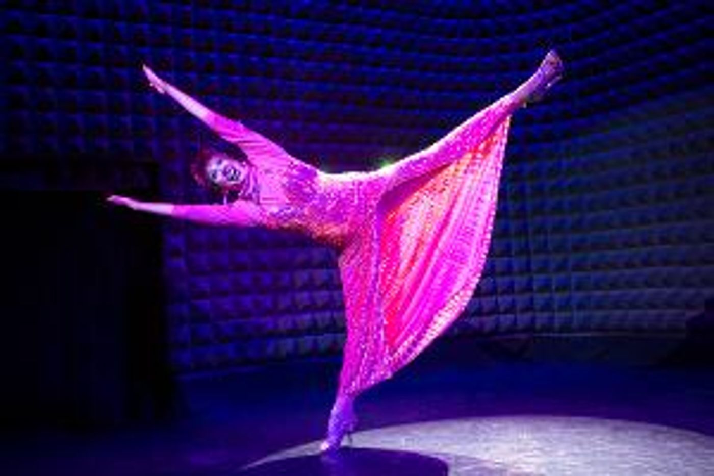 DANCE NOW's 26th Season to Kick Off with DANCE NOW FAMILY REUNION  Image