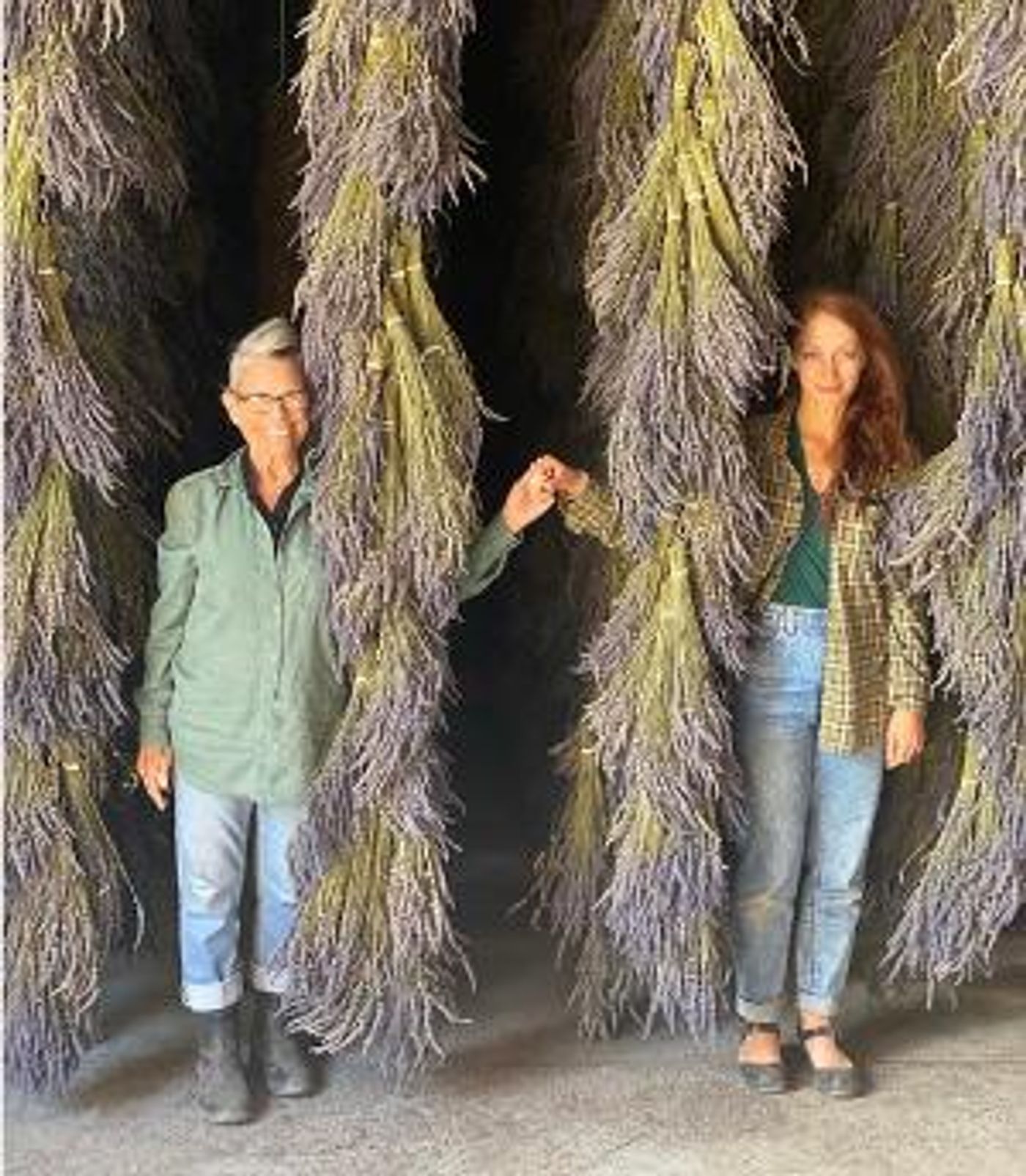 Dance Differently Workshops Announced  Image