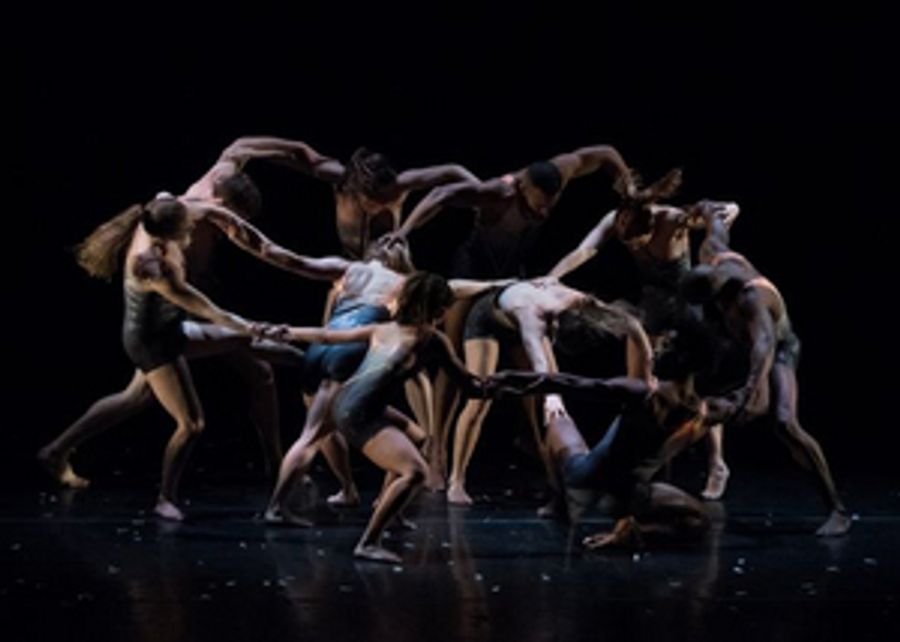 Carolyn Dorfman Dance To Appear At Dr. Phillips High School Image